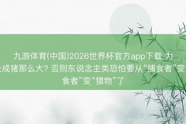 九游体育(中国)2026世界杯官方app下载 为何虾没长成猪那么大? 否则东说念主类恐怕要从“捕食者”变“猎物”了