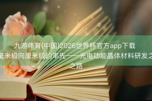 九游体育(中国)2026世界杯官方app下载 从毫米级向厘米级的率先——光电功能晶体材料研发之路