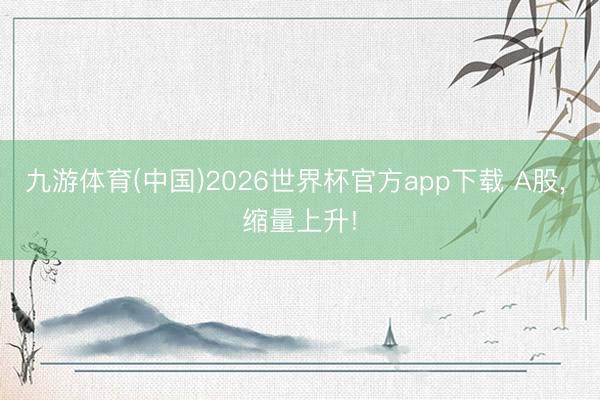 九游体育(中国)2026世界杯官方app下载 A股， 缩量上升!