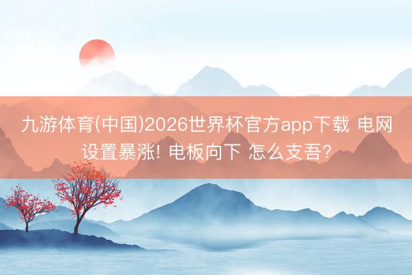 九游体育(中国)2026世界杯官方app下载 电网设置暴涨! 电板向下 怎么支吾?