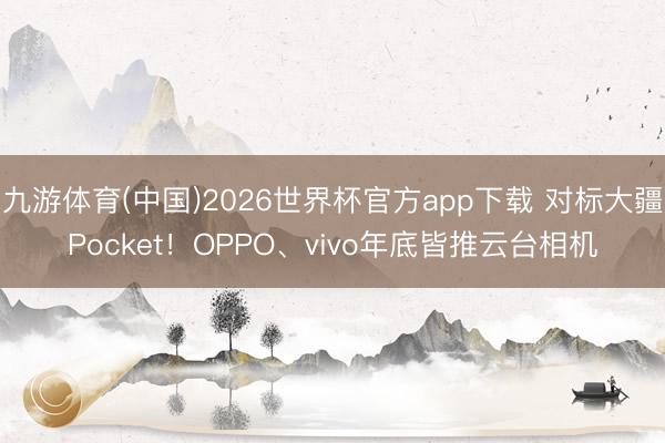 九游体育(中国)2026世界杯官方app下载 对标大疆Pocket！OPPO、vivo年底皆推云台相机