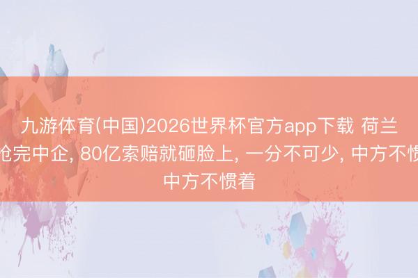 九游体育(中国)2026世界杯官方app下载 荷兰刚抢完中企， 80亿索赔就砸脸上， 一分不可少， 中方不惯着