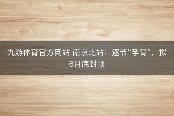 九游体育官方网站 南京北站:逐节“孕育”,拟6月底封顶